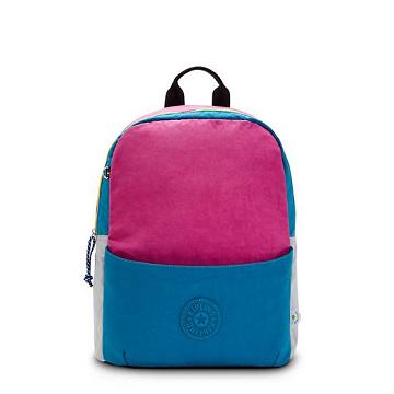 Kipling Sonnie 15" Backpack Laptoptassen Roze Blauw | BE 1667XY